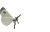 蝶4