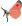 蝶