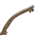 虫